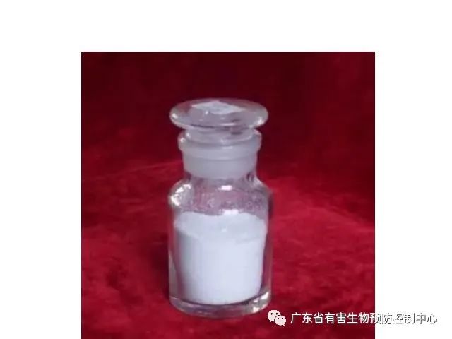 老鼠灭药有效期多久_灭老鼠最有效的药_灭老鼠的药特效药