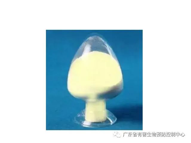 灭老鼠最有效的药_灭老鼠的药特效药_老鼠灭药有效期多久