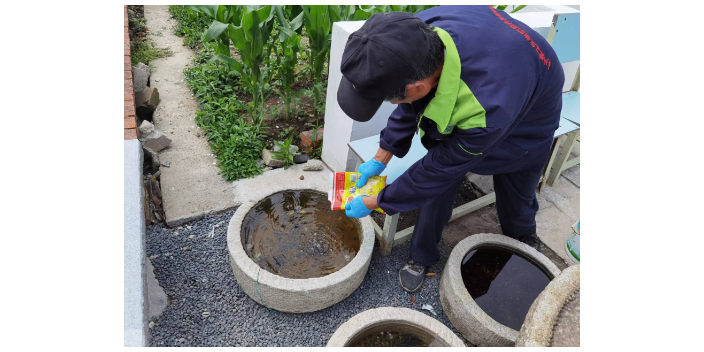 嘉善灭虫多少钱,灭