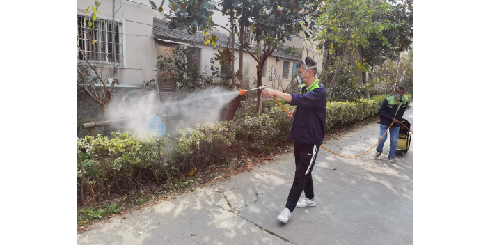 快速灭老鼠方法,灭