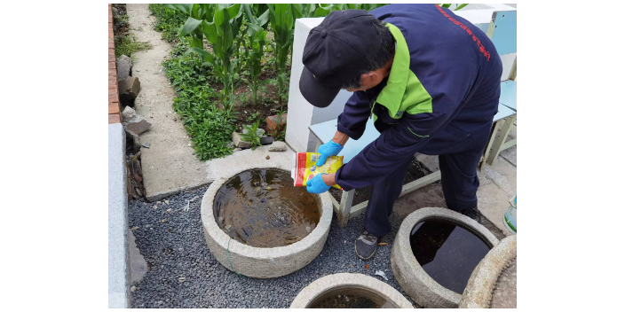 快速灭老鼠方法,灭