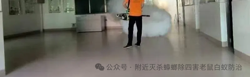 武汉灭老鼠公司_灭老鼠_怎么灭老鼠