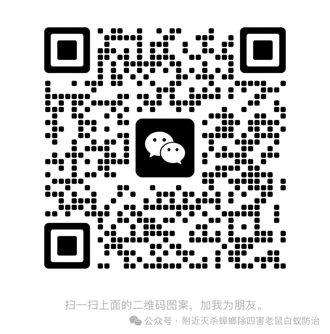 灭老鼠_武汉灭老鼠公司_怎么灭老鼠