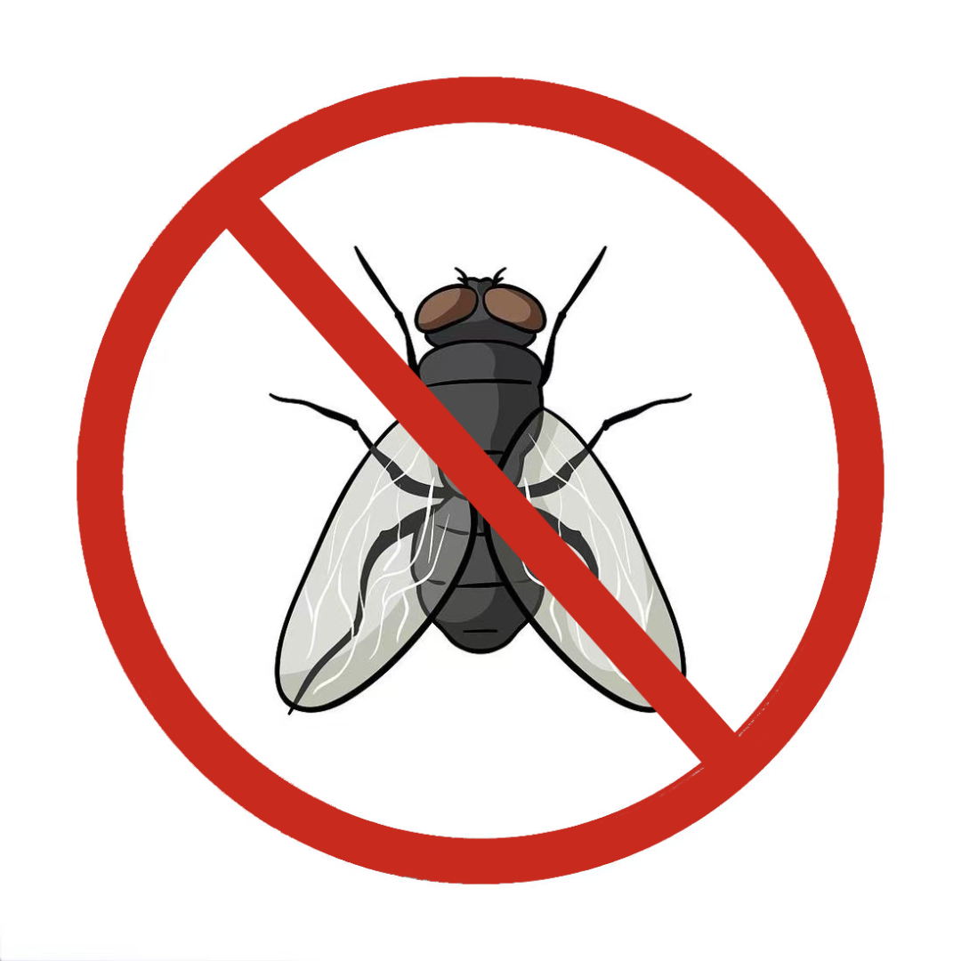 灭苍蝇灯是紫外线吗_紫外线消毒灯能杀死苍蝇卵吗_灭苍蝇的灯是紫外线灯吗