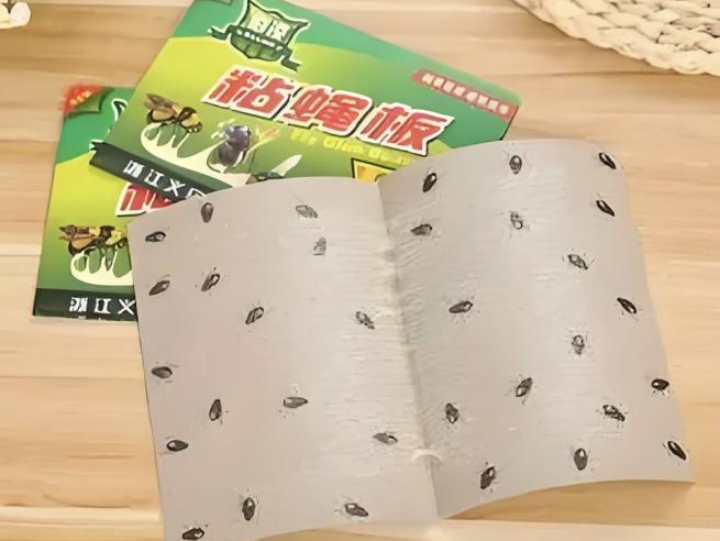 紫外线消毒灯能杀死苍蝇卵吗_灭苍蝇的灯是紫外线灯吗_灭苍蝇灯是紫外线吗