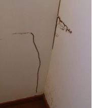 灭白蚁的公司正规吗_灭白蚁工作_灭白蚁机构