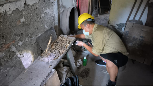 灭白蚁工作_灭白蚁机构_灭白蚁的公司正规吗