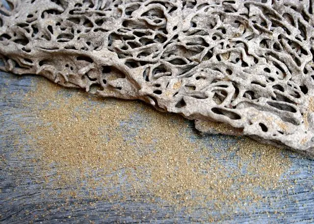 白蚁灭治技术_白蚁防处理_如何防白蚁灭白蚁