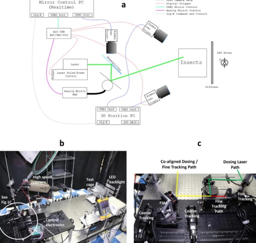 怎么灭蚊子_怎么灭蚊子_怎么灭蚊子