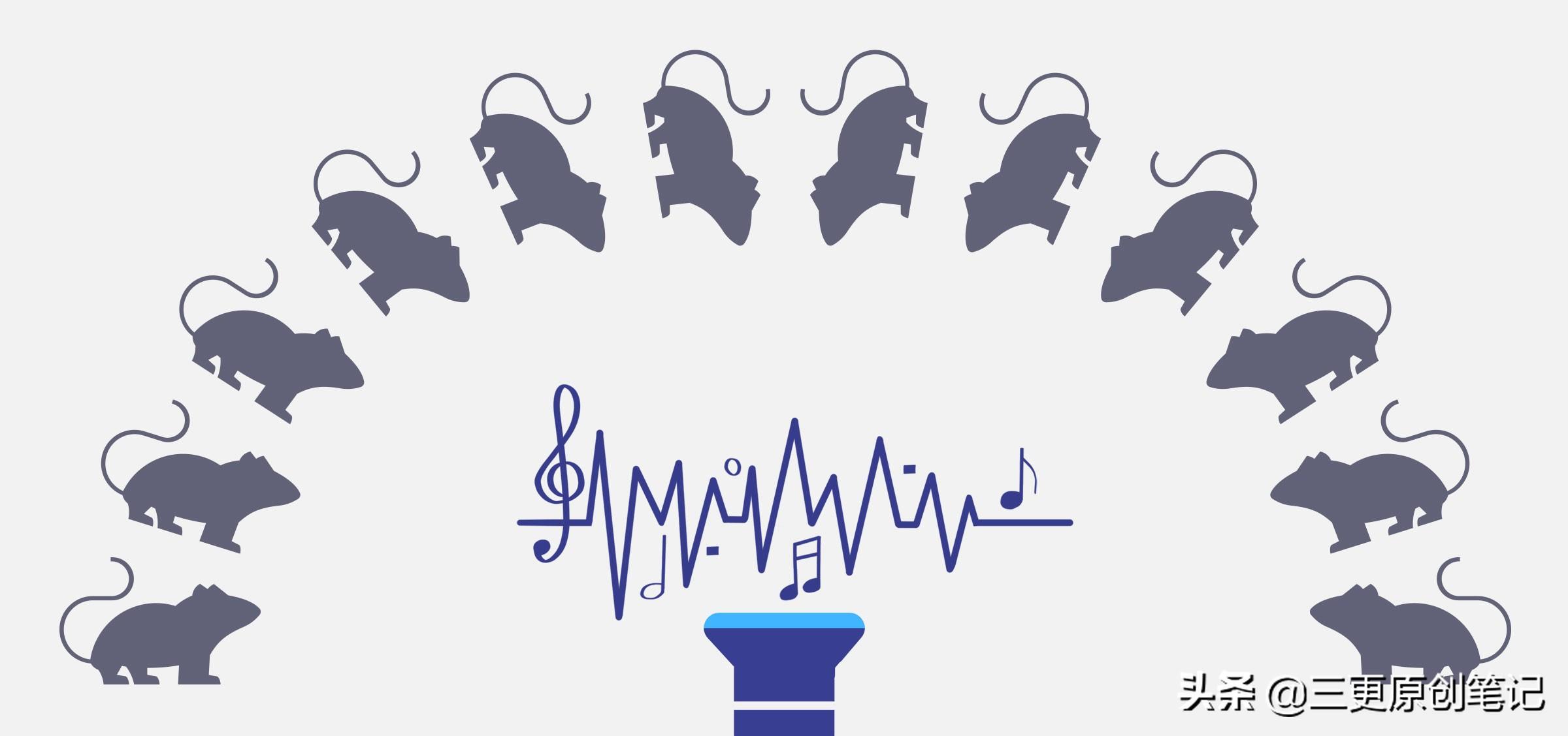 老鼠灭老鼠_灭老鼠最有效的方法有哪些_老鼠怎么灭知乎