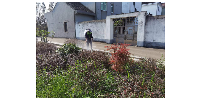 食堂灭蚊子的药,灭