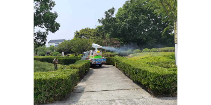 食堂灭蚊子的药,灭