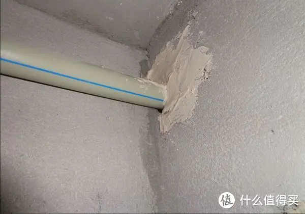 经验分享：我用这些方法终于消灭了家里所有的蟑螂！