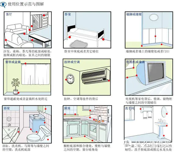 经验分享：我用这些方法终于消灭了家里所有的蟑螂！