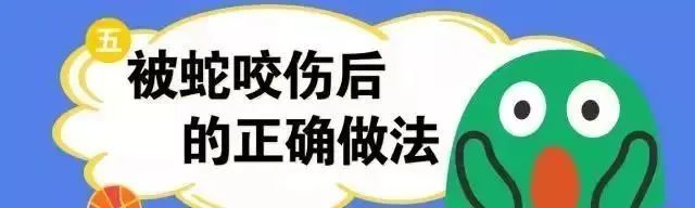 老鼠最怕什么气味驱赶老鼠_老鼠气味怕驱赶虫子吗_老鼠气味怎么去除
