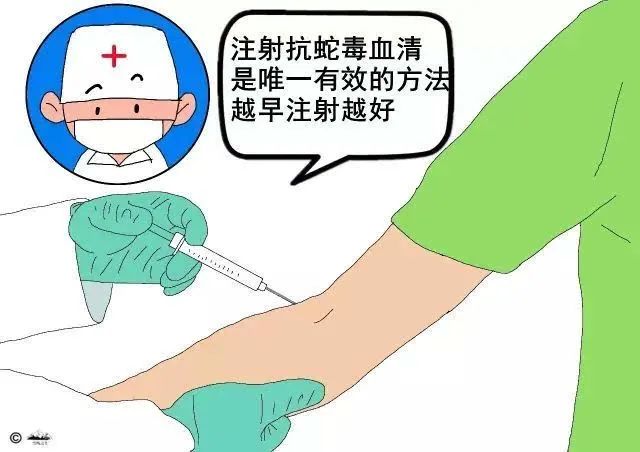 老鼠最怕什么气味驱赶老鼠_老鼠气味怎么去除_老鼠气味怕驱赶虫子吗