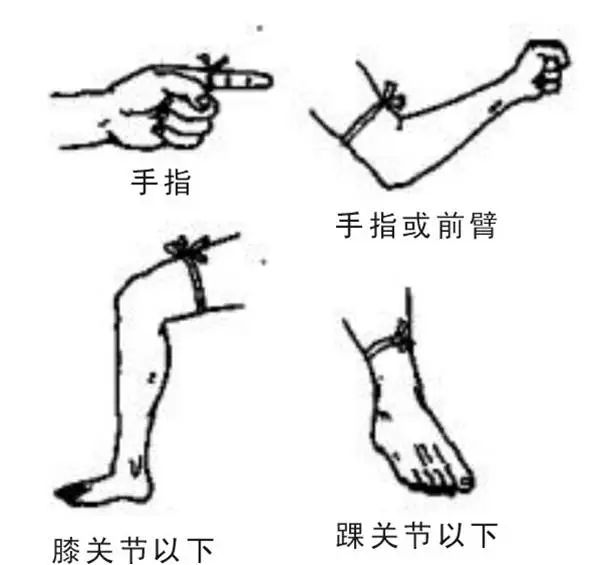 老鼠最怕什么气味驱赶老鼠_老鼠气味怎么去除_老鼠气味怕驱赶虫子吗
