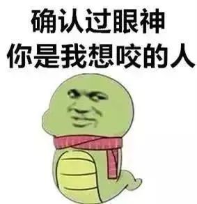 老鼠最怕什么气味驱赶老鼠_老鼠气味怕驱赶虫子吗_老鼠气味怎么去除