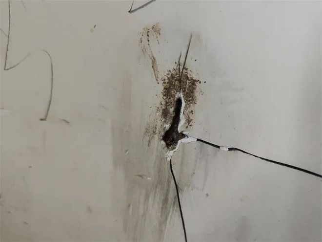 灭白蚁工作_灭白蚁的收费标准_灭白蚁机构