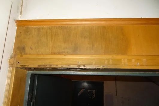 灭白蚁的收费标准_灭白蚁工作_灭白蚁机构