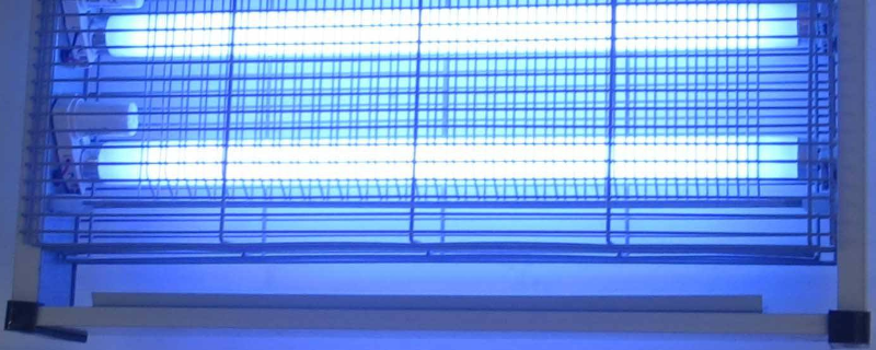 紫外线灯可以把苍蝇灭了吗_灭苍蝇的灯是紫外线灯吗_紫外线灯苍蝇