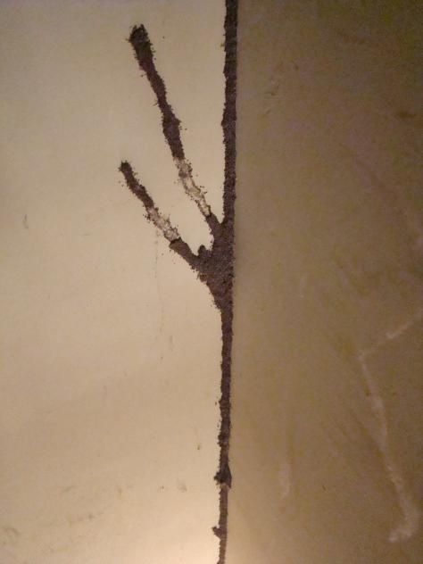 灭白蚁防治_白蚁防处理_如何防白蚁灭白蚁