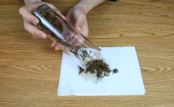 家里放一物绝对没蟑螂_蟑螂不进房间_蟑螂不进卧室