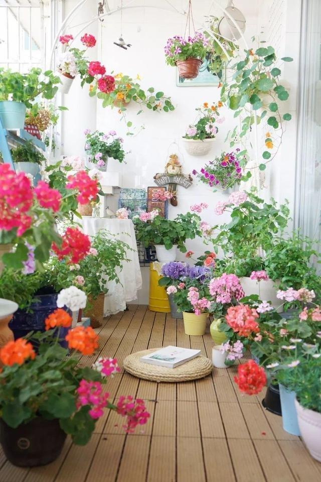 自制杀虫剂种菜不用愁_10种自制杀虫水_如何自制杀虫水植物