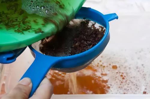 10种自制杀虫水_自制杀虫剂种菜不用愁_如何自制杀虫水植物