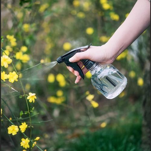 10种自制杀虫水_如何自制杀虫水植物_自制杀虫剂种菜不用愁